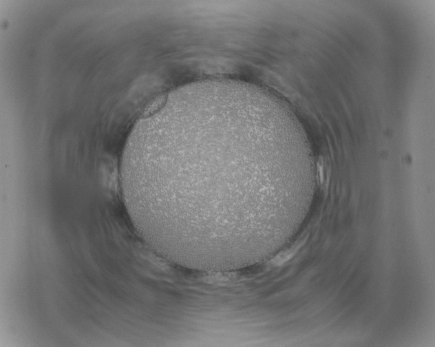 X0000070431251200606302117