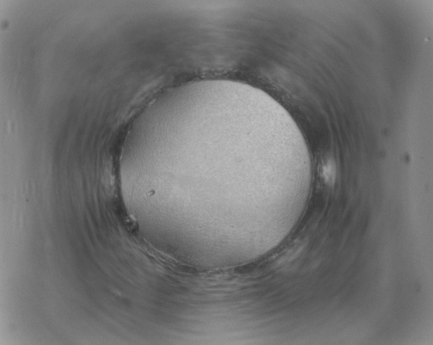 X0000070431252200606302117