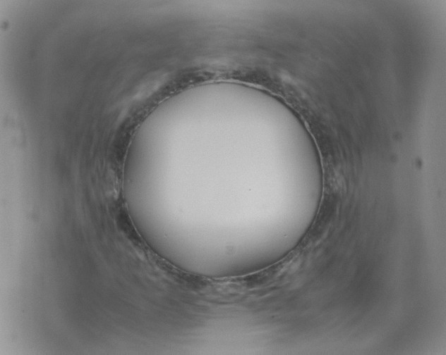 X0000070431253200606302117