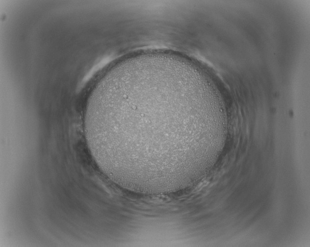 X0000070431255200606302117