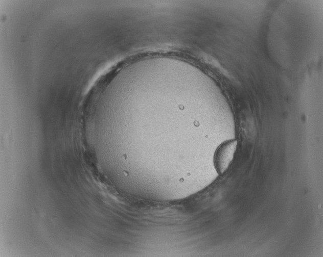 X0000070431256200606302117