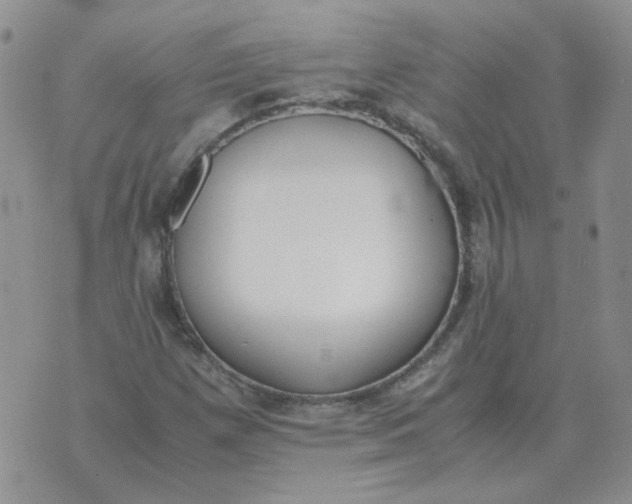 X0000070431257200606302117