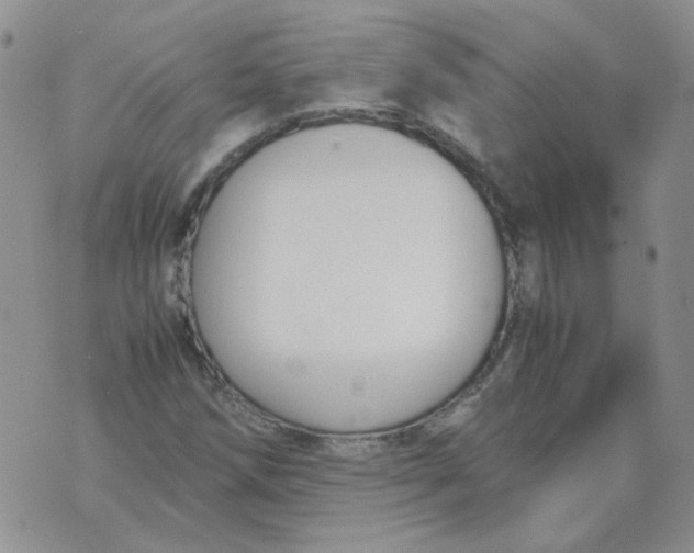 X0000070431258200606302117