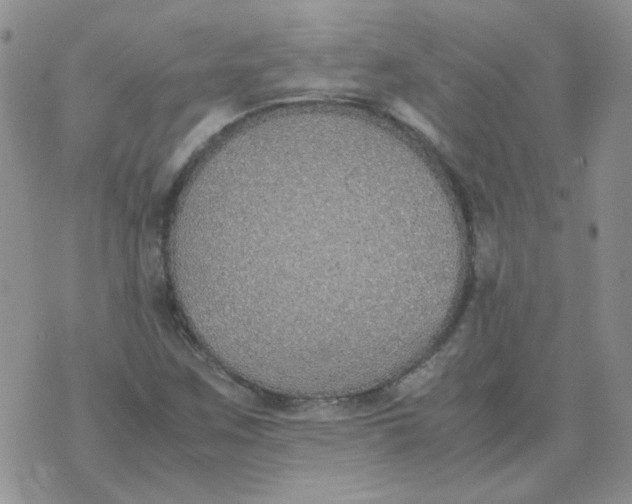 X0000070431259200606302117