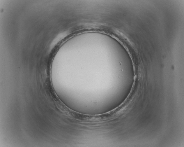 X0000070431261200606302117