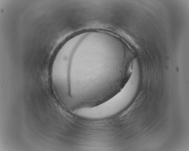 X0000070431264200606302117