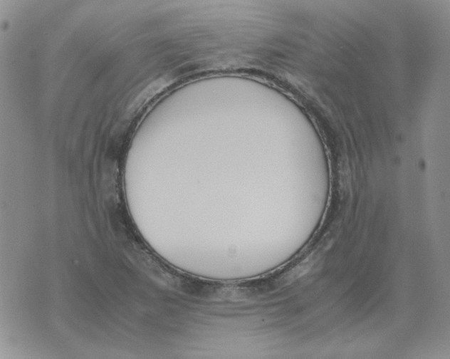 X0000070431265200606302117