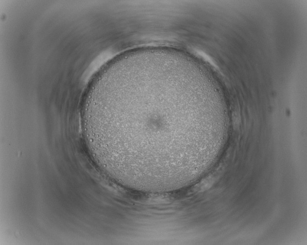 X0000070431267200606302117