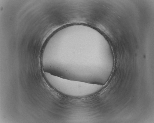 X0000070431268200606302117