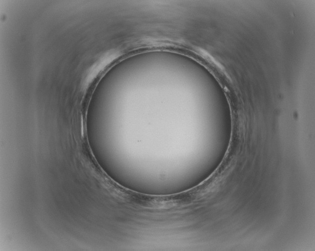 X0000070431269200606302117