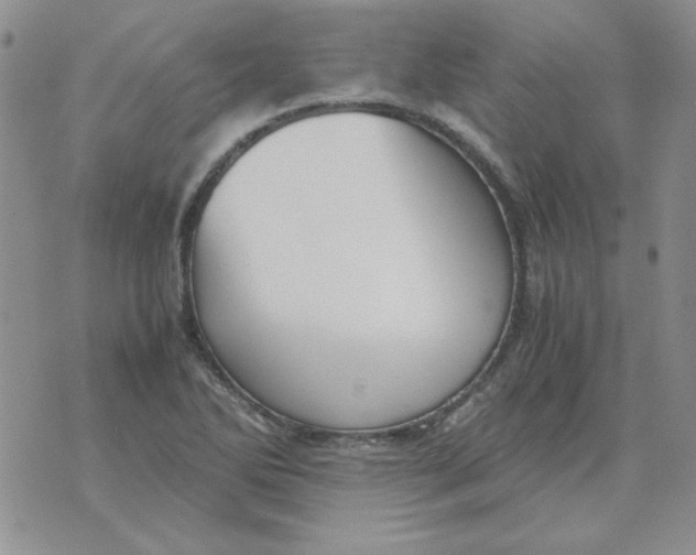 X0000070431270200606302117