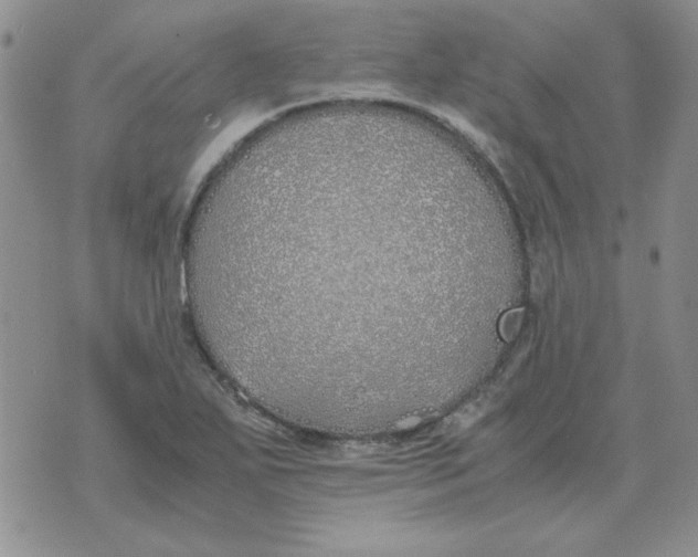 X0000070431271200606302117