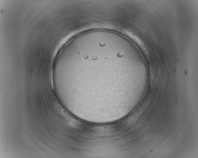 X0000070431272200606302117