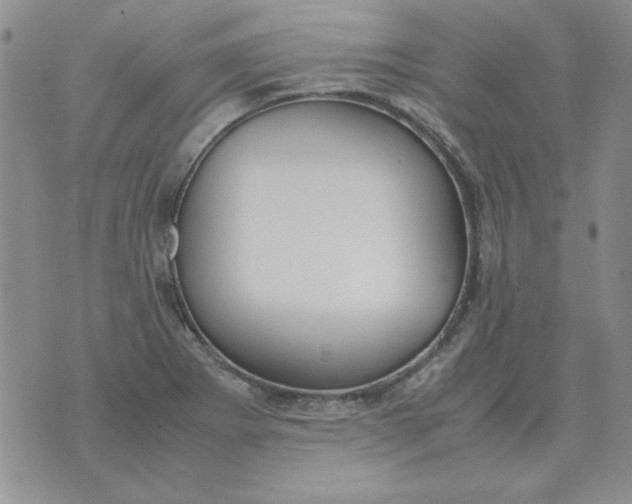 X0000070431273200606302117