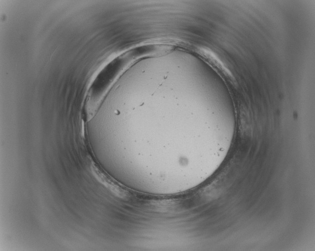 X0000070431276200606302117