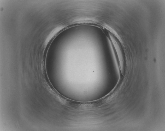 X0000070431277200606302117