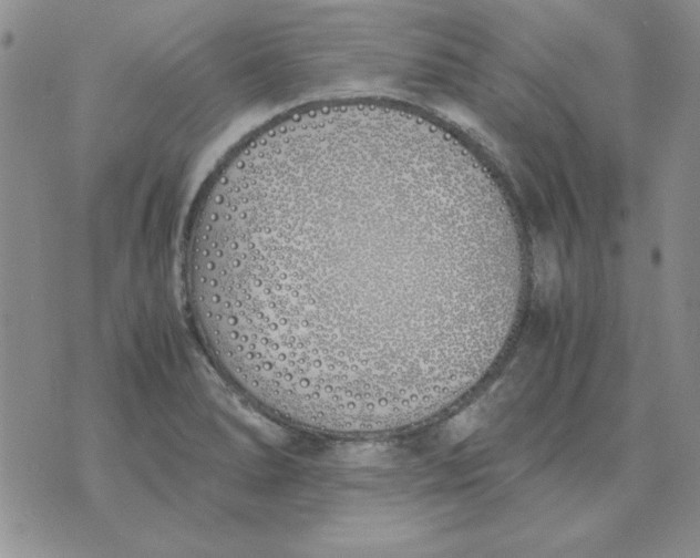 X0000070431278200606302117