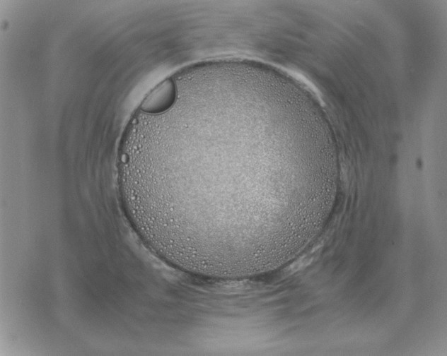 X0000070431279200606302117