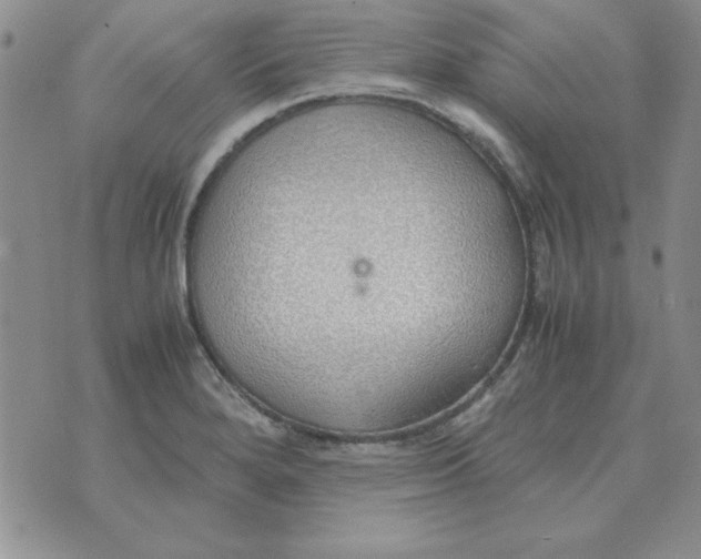 X0000070431280200606302117