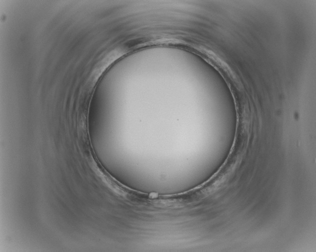 X0000070431281200606302117