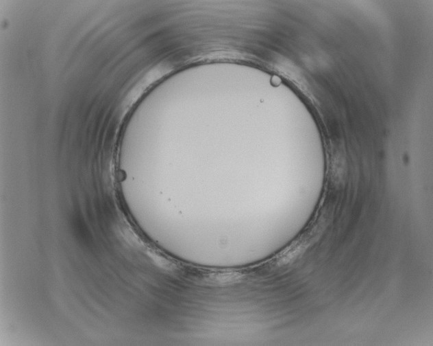 X0000070431282200606302117