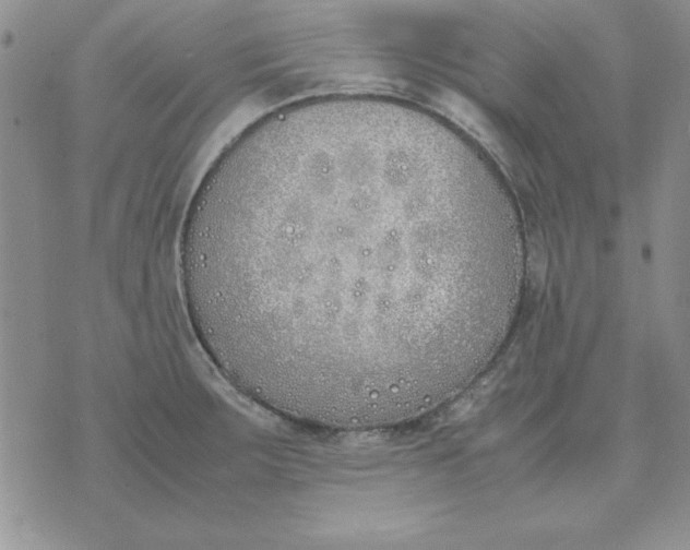 X0000070431283200606302117