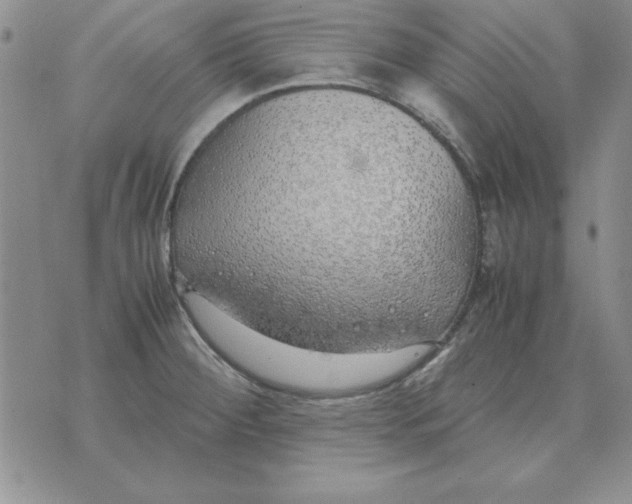 X0000070431284200606302117