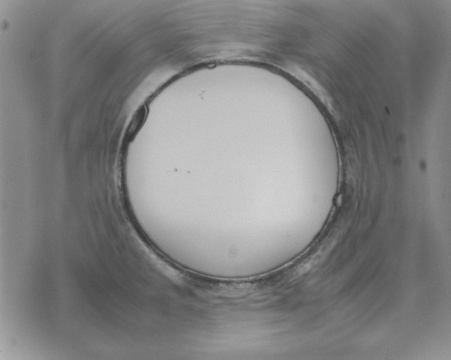 X0000070431285200606302117