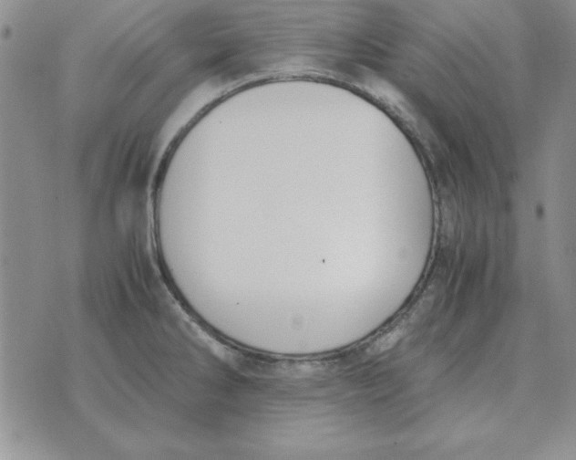 X0000070431286200606302117