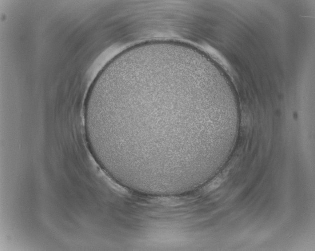 X0000070431287200606302117