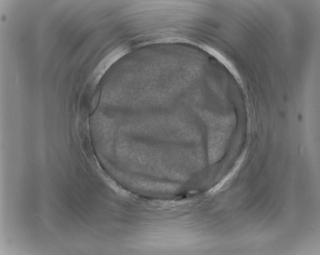 X0000070431289200606302117