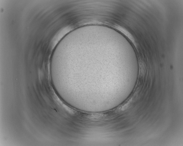 X0000070431290200606302117