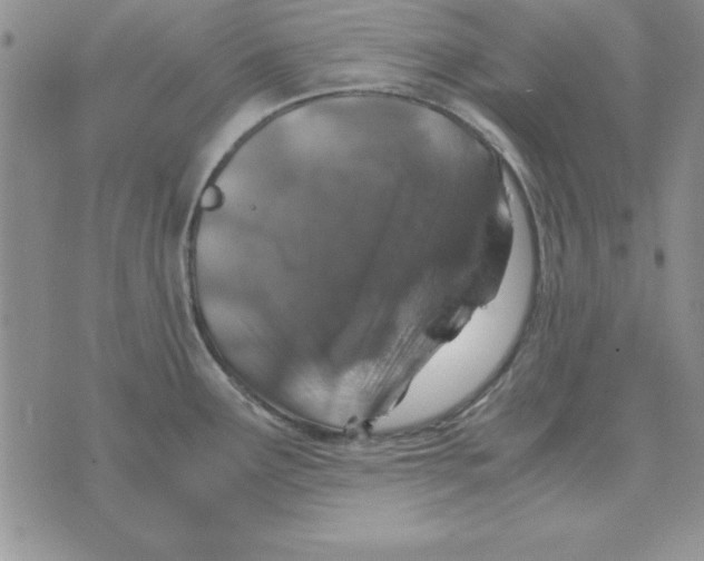 X0000070431291200606302117