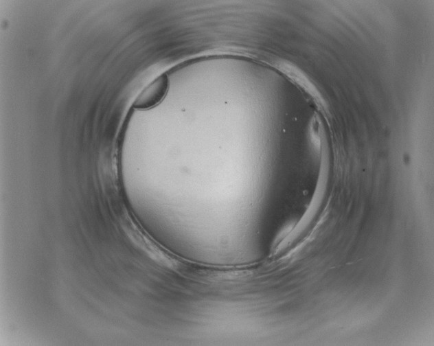 X0000070431292200606302117