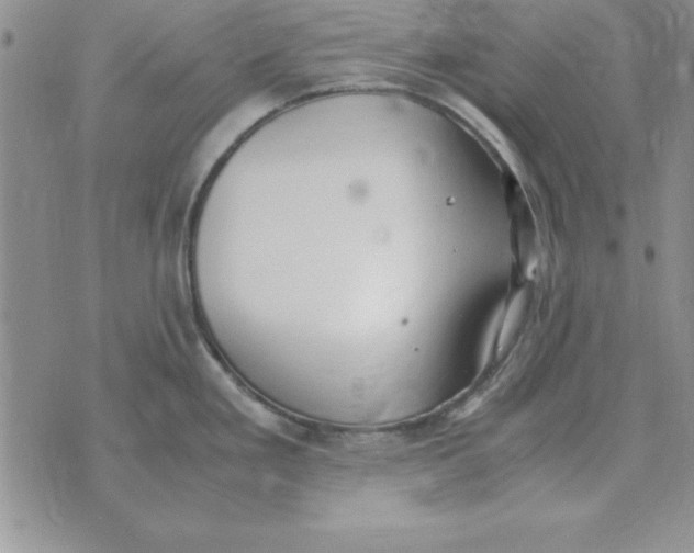 X0000070431293200606302117