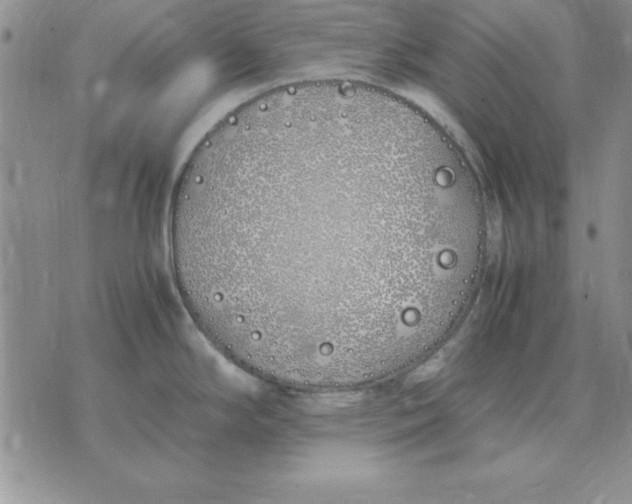 X0000070431294200606302117