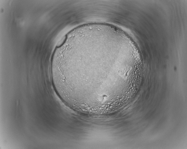 X0000070431295200606302117