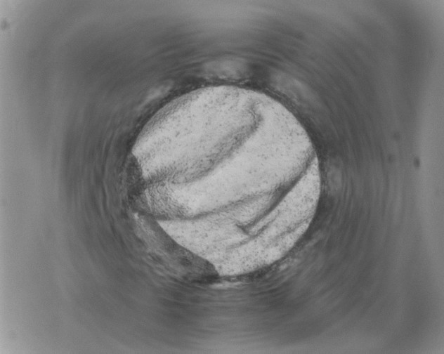 X0000070431297200606302116