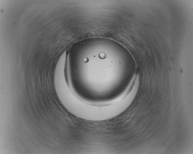 X0000070431298200606302116