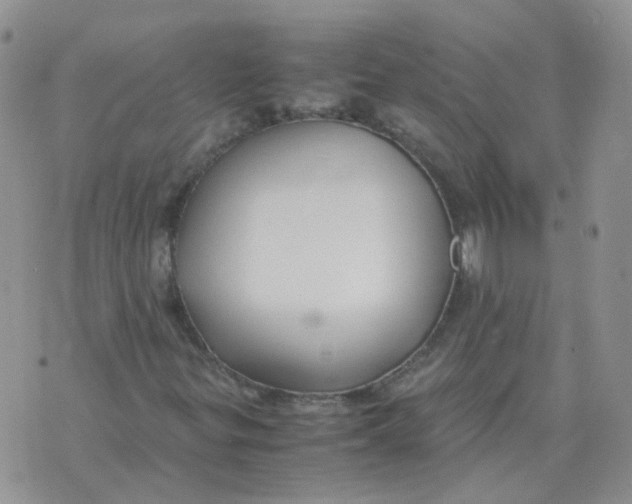 X0000070431299200606302116