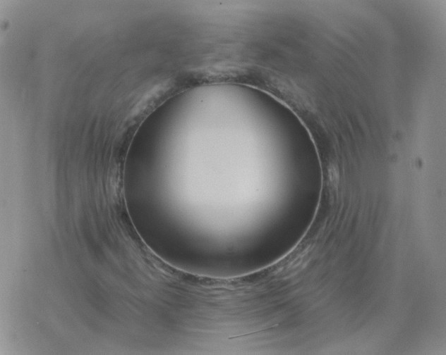 X0000070431300200606302116