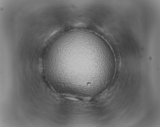 X0000070431301200606302116