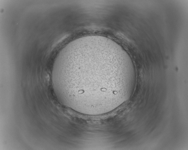 X0000070431302200606302116