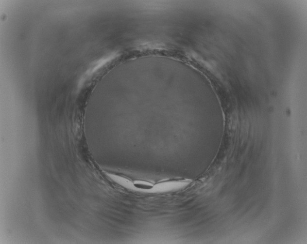 X0000070431303200606302116