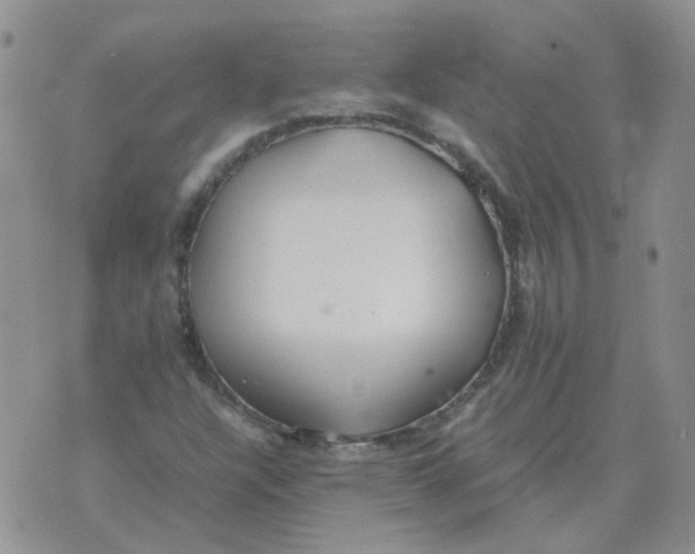 X0000070431304200606302116