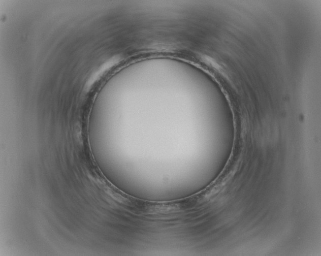 X0000070431307200606302116