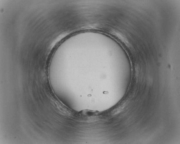 X0000070431308200606302116