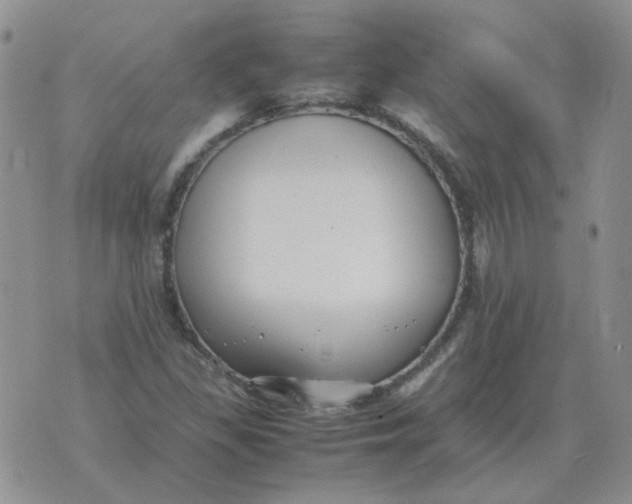 X0000070431309200606302116