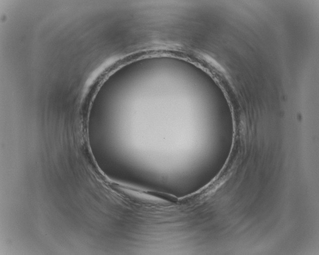 X0000070431310200606302116