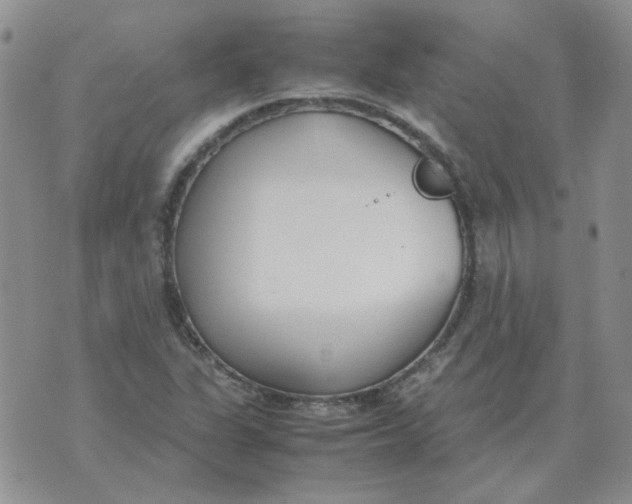 X0000070431311200606302116